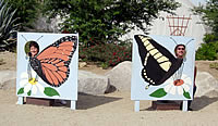 Butterfly Cutouts at the Living Desert.